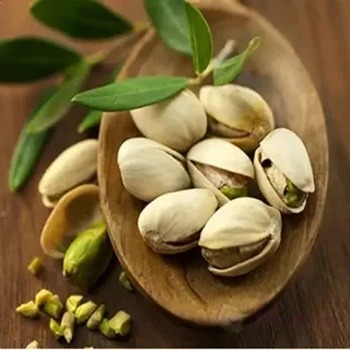 قیمت خرید پسته جنگلی مشهد + فروش ویژه